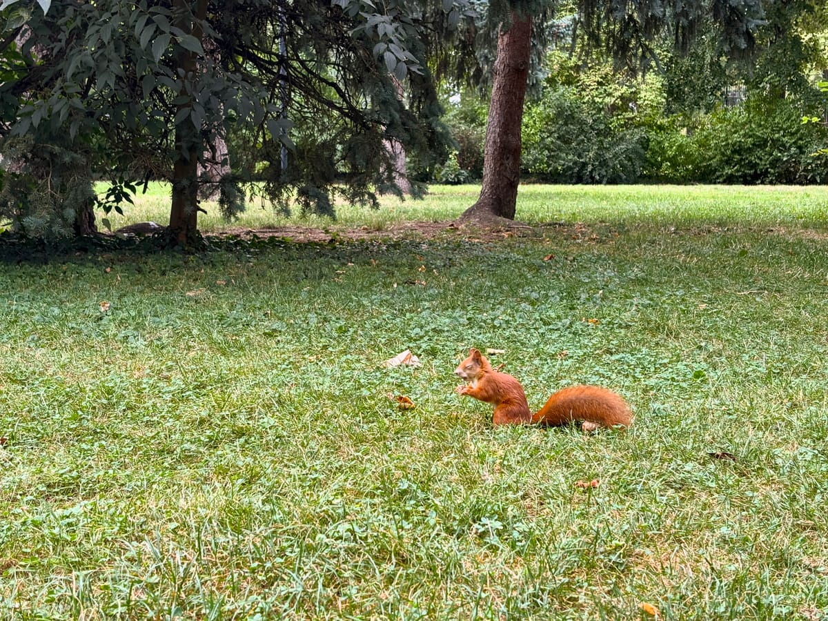 Die zwei schönsten Parks von Wien